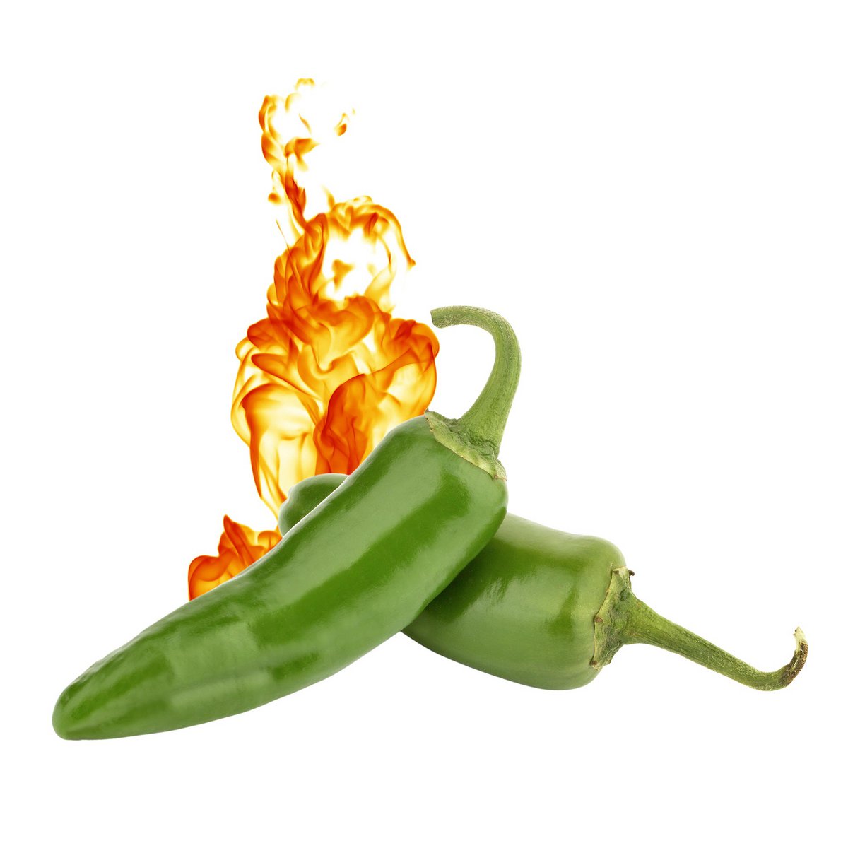 Grillsauce – Hot Jalapeño Pepper 250ml