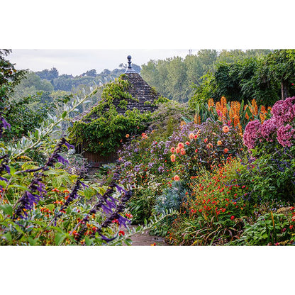 Ich träume von einem Cottage Garten. Verliebt in Rittersporn, Phlox & Fingerhut