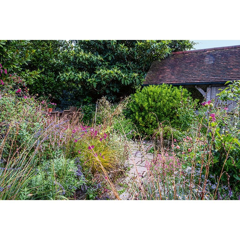 Ich träume von einem Cottage Garten. Verliebt in Rittersporn, Phlox & Fingerhut